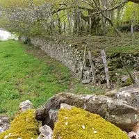 Conférence : Les murs en pierres sèches, beauté et marqueurs de nos paysages