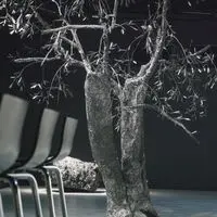 FASSIL - Exposition - Mémoires des Paysages