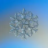 Des flocons par milliers